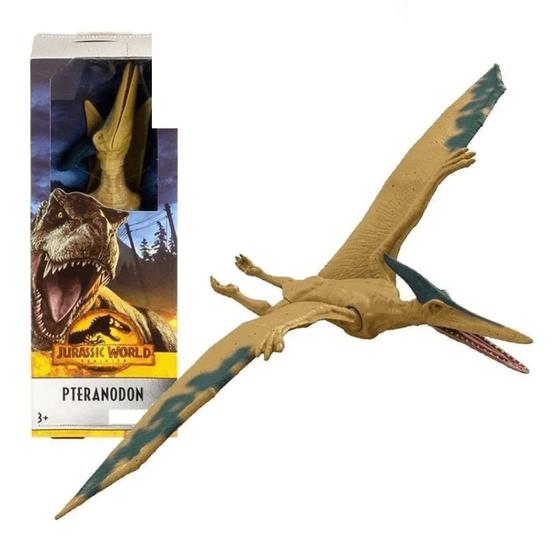 Safari Ltd Vélociraptor à Plumes 20,3 Cm - Figurine Dinosaure Réaliste - Sans BPA Et Non Toxique - Dès 3 Ans