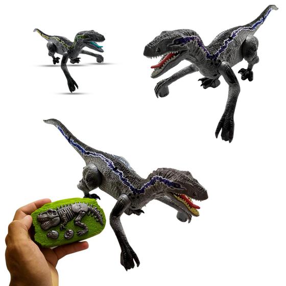 Imagem de Dinossauro Velociraptor Luz Som Recarregavel Controle Remoto