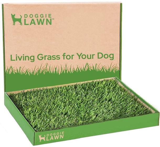 Imagem de DoggieLawn Real Grass Puppy Pee Pads- 24 x 16 polegadas - Caixa de areia interna perfeita para cães - Sem bagunça, fácil de usar - Treinamento de penico para animais de estimação - Banheiro descartável ecológico com grama real