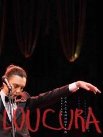 Imagem de DVD Adriana Calcanhotto - Loucura: Adriana Calcanhotto Canta Lupicínio Rodrigues - 953093