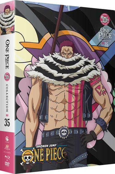 Imagem de DVD One Piece Collection 35 Funimation - Sem Textos na Abertura