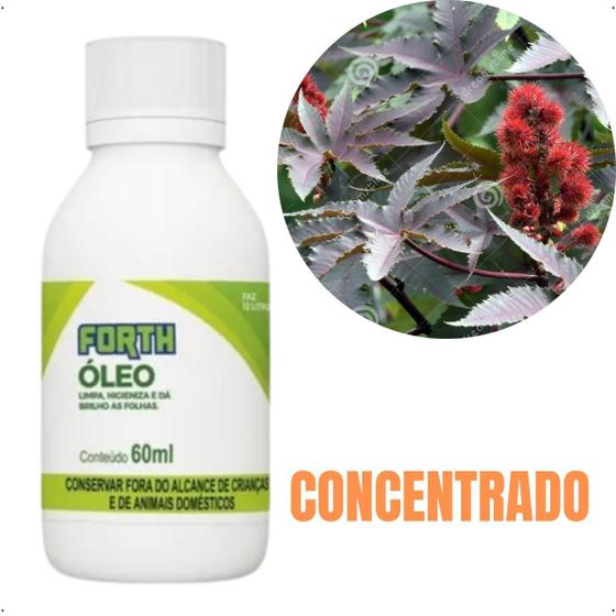 Imagem de Embelezador Forth Óleo 60ml Proteção E Brilho Para Plantas