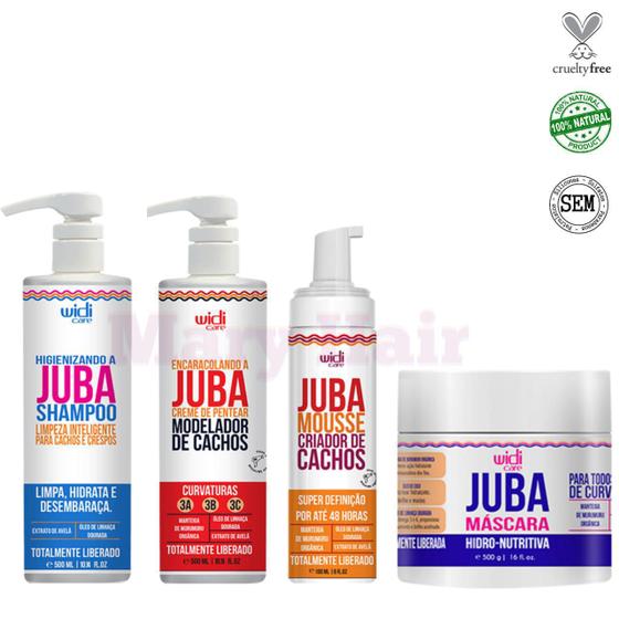 Imagem de Encaracolando A Juba + shampoo + Mousse + máscara Widi Care