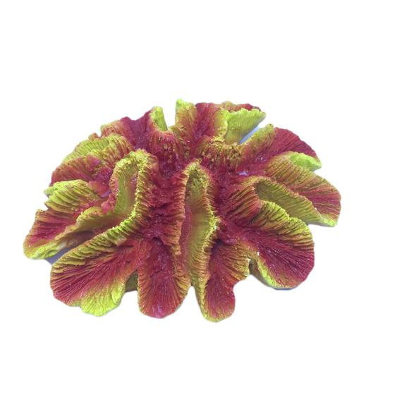 Imagem de Enfeite de resina boyu coral cerebro open laranja(cw-40)