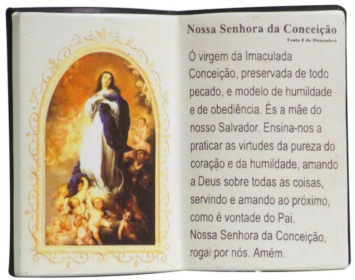 Imagem de Enfeite Decorativo Em Resina Imaculada Conceição Livro