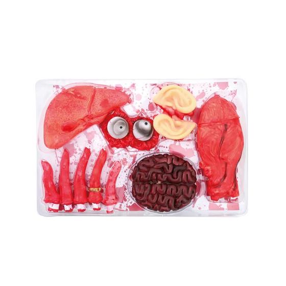 Imagem de Enfeite Decorativo - Orgãos de Plástico com Sangue - Halloween - 1 unidade - Cromus - Rizzo