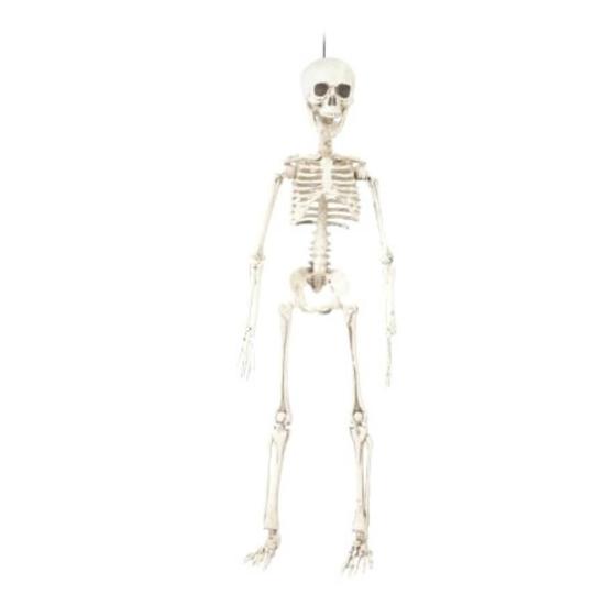 Imagem de Enfeite Halloween - Esqueleto Caveira - 1 unidade - Cromus 