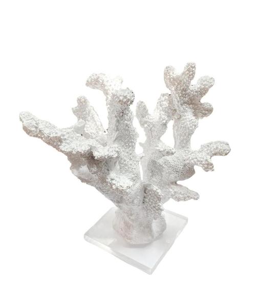 Imagem de Escultura coral medio com base acrilica branco