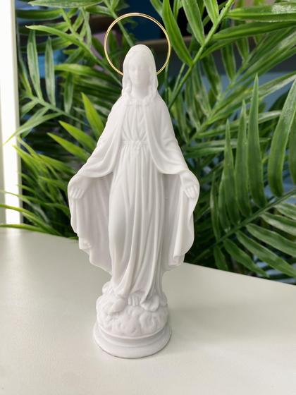 Imagem de Escultura nossa senhora das graças com aureola dourada