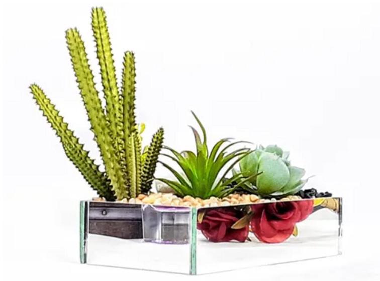 ESPELHADO) Terrário De Suculentas Artificiais Espelhado Espelhos Cactos  Cactus Artificial Enfeites - BONITO DECORA - Flor e Planta Artificial -  Magazine Luiza