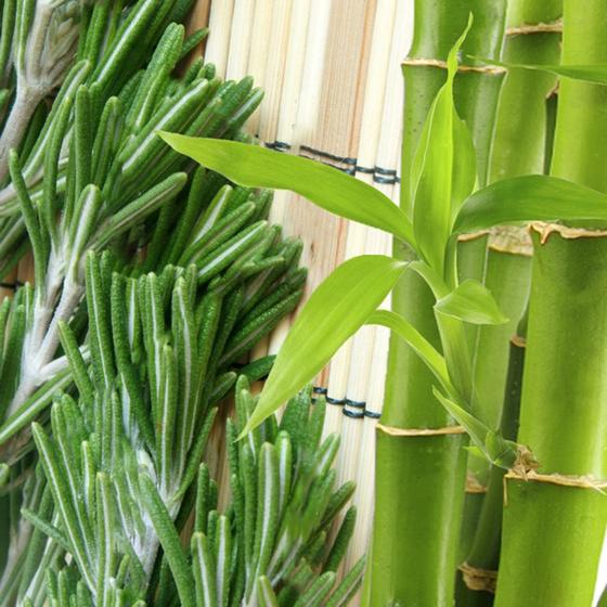 Imagem de Essência Alecrim com Bamboo 100ml