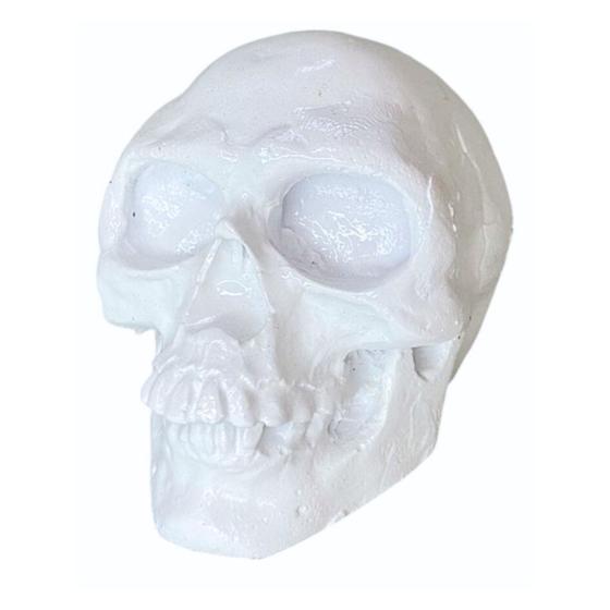 Imagem de Estatua Mini Cabeça Caveira Escultura Decoração Halloween