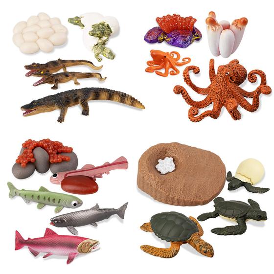Imagem de Estatueta Toy Toymany Sea Animal Life Cycle 17 unidades para crianças