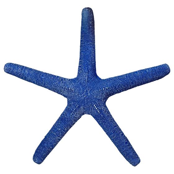 Imagem de Estrela Do Mar Bertioga De Pendurar Azul Laranja Verde Bege