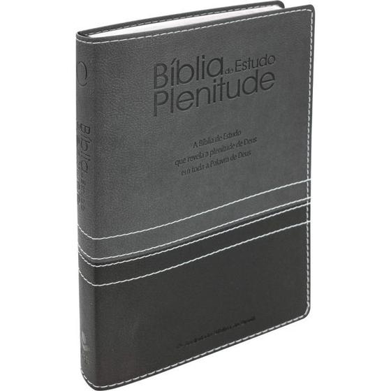 Imagem de Estudo Rico: Bíblia Plenitude - RA Digital