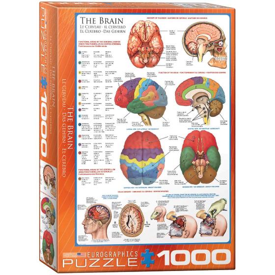 Imagem de EuroGraphics Corpo Humano (O Cérebro) Puzzle 1000 Peças