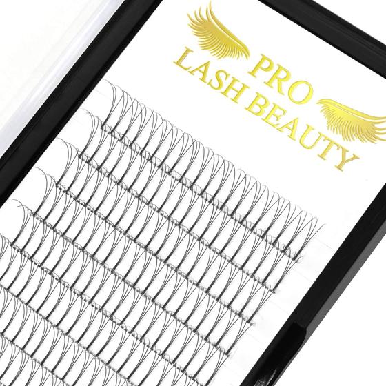 Imagem de Extensões de cílios de volume pré-fabricadas PRO LASHBEAUTY 3D-C 0,10 9 mm