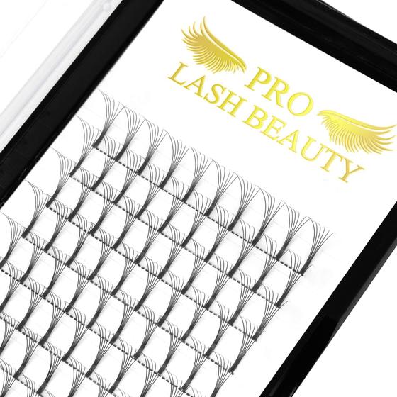 Imagem de Extensões de cílios de volume pré-fabricadas PRO LASHBEAUTY 6D-0.10-16