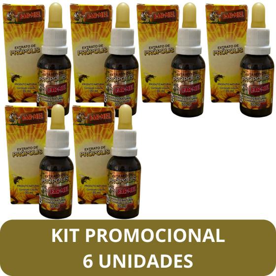 Imagem de Extrato de Própolis Farmel Gota 30ml - Kit Promocional 6 Unidades