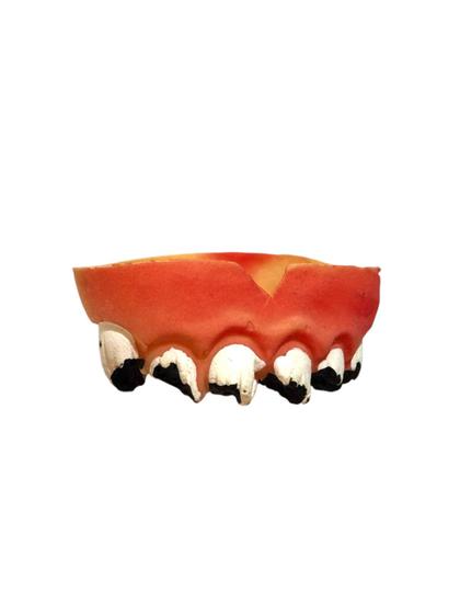 Imagem de Fantasia dente podre sujo preto dentadura com cáries 1un