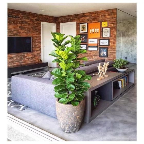 Ficus Lyrata Artificial Planta Grande Decoração Sala 1.00m, folhas ...