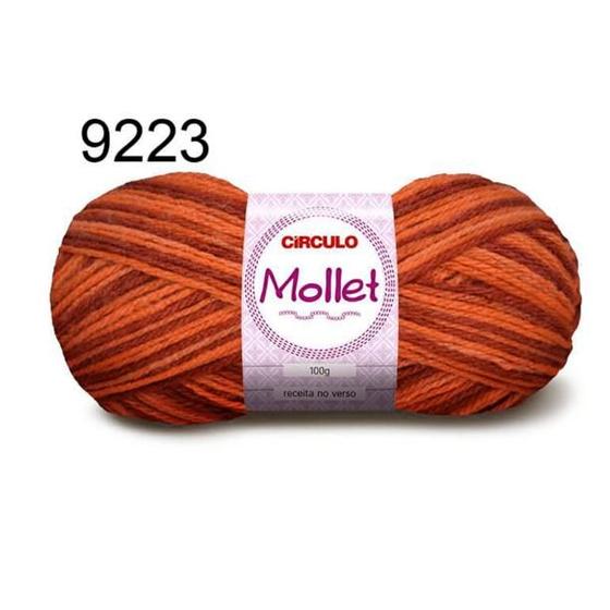 Imagem de Fio Mollet Círculo 100g Cor 2