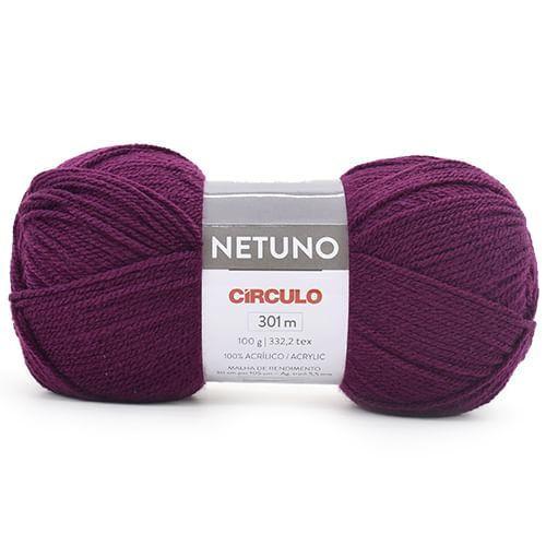 Imagem de Fio Netuno Círculo 100g