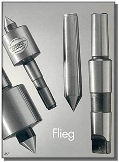 Imagem de Flieg - IMS EDITORA