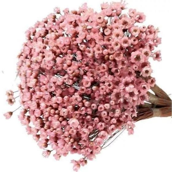 Imagem de Flor Sempre Viva - Ramo com 600 Flores - Rosa