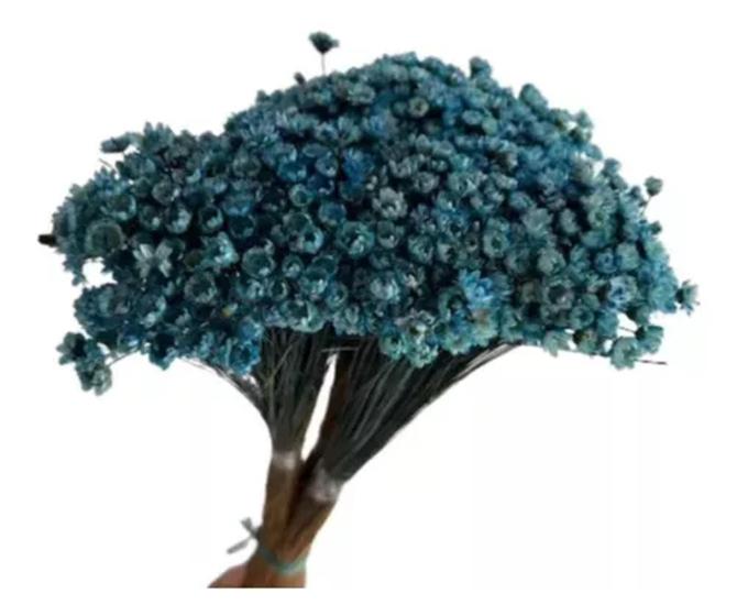 Imagem de Flor Sempre Viva Seca Flores Azul Lembrancinha Desidratado