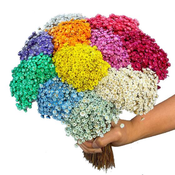 Flores Sempre vivas - Buquê mix color Natural e Desidratado - VIVA FLOR ...