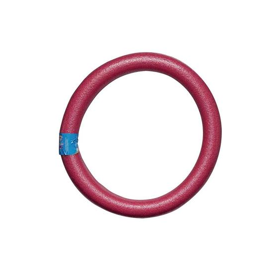 Imagem de Flutuador Circular 55x6 cm - Rosa