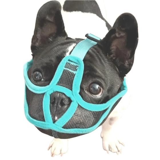 Focinheira Bulldog Pug Shih Tzu Raças De Focinho Curto - Petitinhas ...