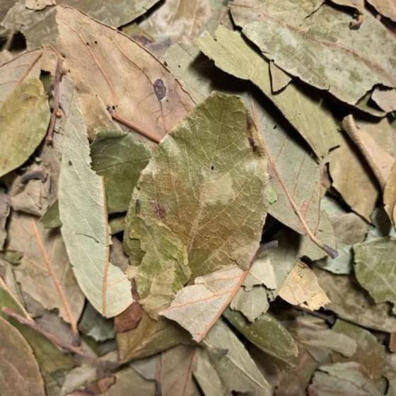Imagem de Folha de Graviola Seca 250gr