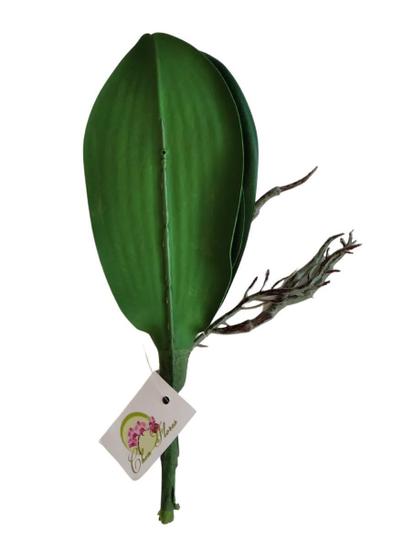 Folha De Orquídea Artificial 22 X 8Cm Verde - Chen Wenyu Presentes - Flor e  Planta Artificial - Magazine Luiza