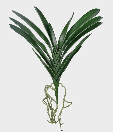 Folha de Orquídea Artificial com Raiz Verde 55cm - Grillo - Flor e Planta  Artificial - Magazine Luiza