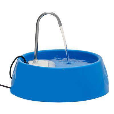 Fonte Bebedouro Elétrico para Cães e Gatos Amicus Aqua Mini Bivolt Azul Menor preço em Fonte Bebedouro Elétrico para Cães e Gatos Amicus Aqua Mini Bivolt Azul
