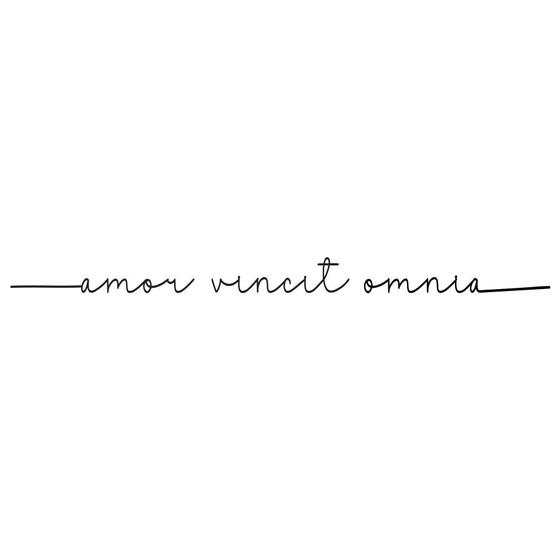 Imagem de Frase de parede amor vincit omnia - mdf 3mm preto