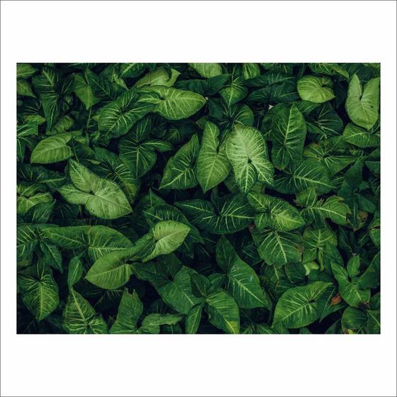 Imagem de Fundo Fotográfico Cenário Textura Folhas Tecido 2,20M X1,50M