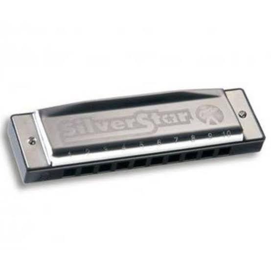 Imagem de Gaita Hohner Silver Star 504/20 A Lá