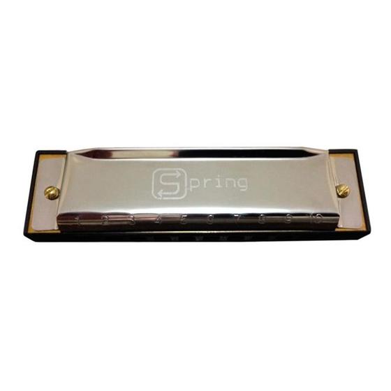 Imagem de Gaita Spring Sg 20 C Diatonica
