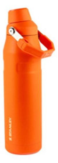 Imagem de Garrafa Térmica Aerolight Fast Flow 1,1L Tigerlily Stanley