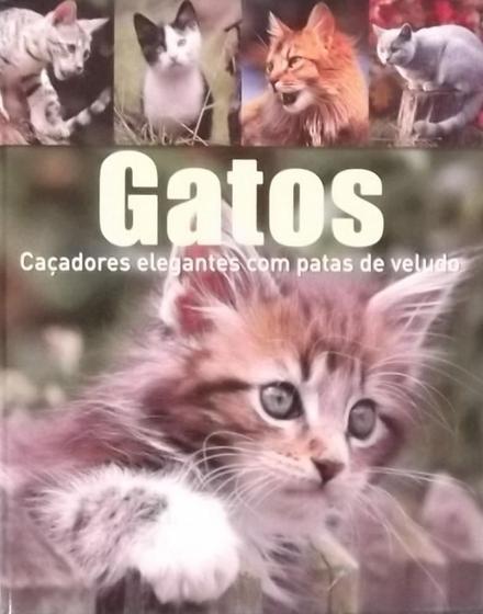 Imagem de Gatos. Caçadores Elegantes com Pata de Veludo