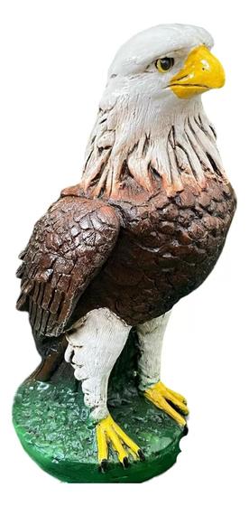 Imagem de Gavião Marrom espanta Pombos em resina decoração jardim escultura realista espanta pássaros