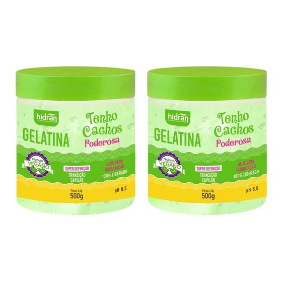 Imagem de Gelatina Hidran 500g Tenho Cachos Super Definiçao - 2un