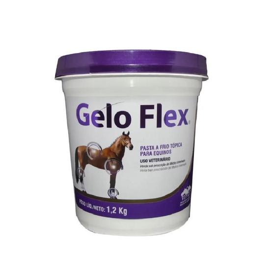 Imagem de Gelo Flex - 1.200kg