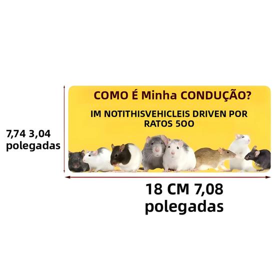 Gen Z Funny Meme Driving Vehicle Adesivo De Vinil À Prova D'água ...