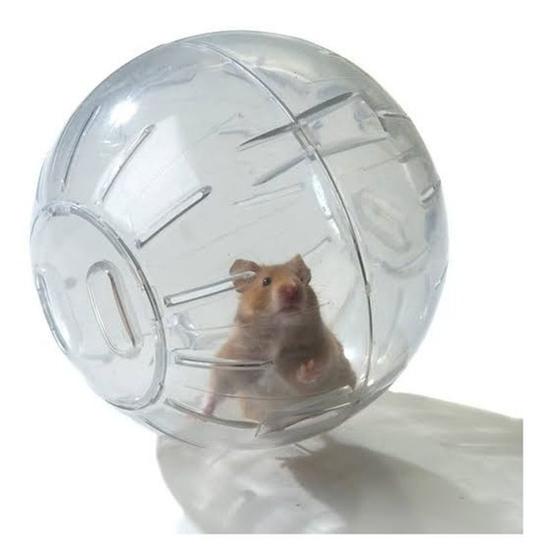 Imagem de Globo de Plástico para Exercícios de Hamster 18cm - Branco