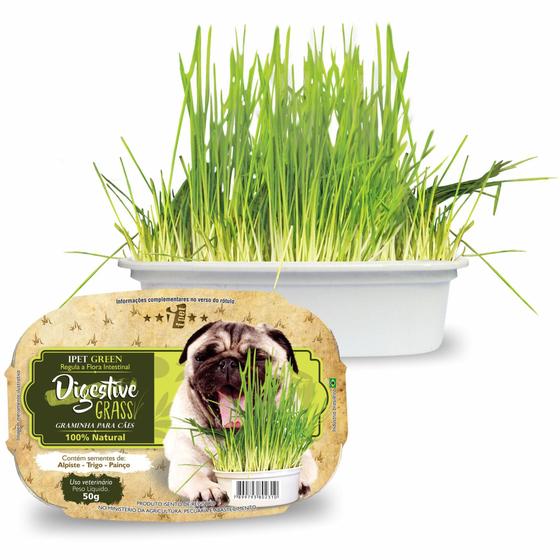 Imagem de Graminha Para Cães Green Digestive Grass Ipet - 50g