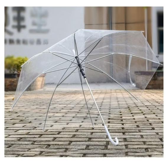 Imagem de Guarda chuva sobrinha transparente